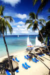 Tamarind Cove 